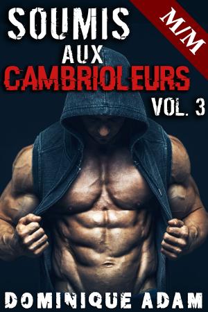 Cover of the book Soumis Aux Cambrioleurs Vol. 3 by Dominique Adam
