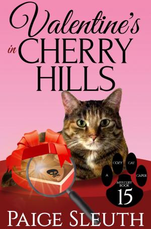Book cover of Valentine's in Cherry Hills