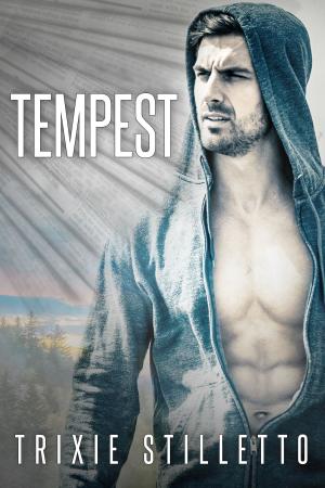 Cover of the book Tempest by Gwen Enquist
