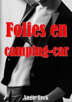 Book cover of Folies en camping-car