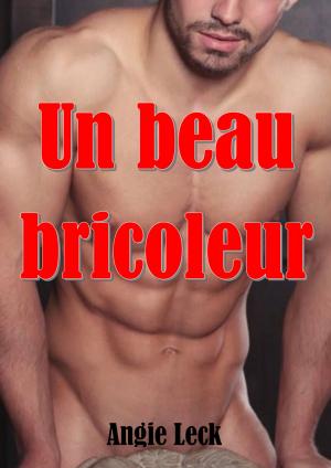 Cover of the book Un beau bricoleur by Angie Leck