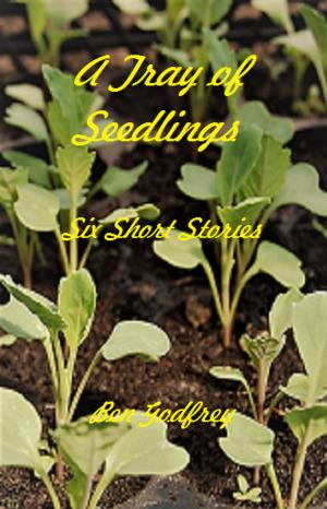 Book cover of A Tray of Seedlings