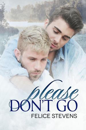 Cover of the book Please Don't Go by Felice Stevens