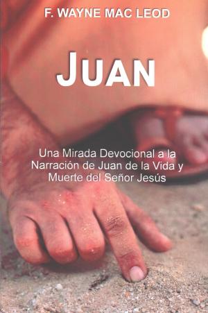 Cover of the book Juan by F. Wayne Mac Leod