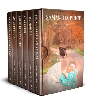 Cover of the book Amish Baby Collection Boxed Set by Samantha Price