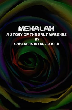 bigCover of the book Mehalah: A Story of the Salt Marshes by 