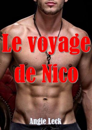 Cover of the book Le voyage de Nico by Agathe Legrand