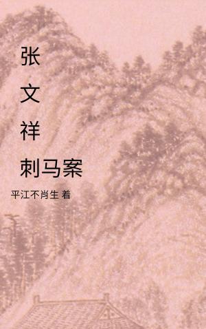Cover of the book 张文祥刺马案 by 平江不肖生