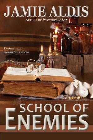 Cover of the book School of Enemies by L. Rigdon