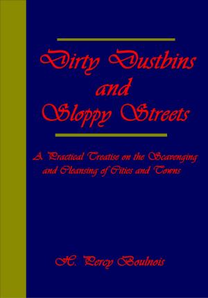 Book cover of Dirty Dustbins and Sloppy Streets