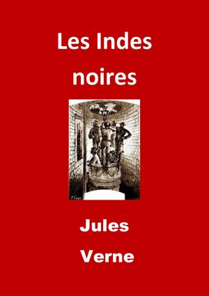 Cover of the book Les Indes noires by Alex Dean