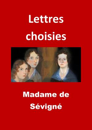 Cover of the book Lettres choisies by Jean de la Fontaine