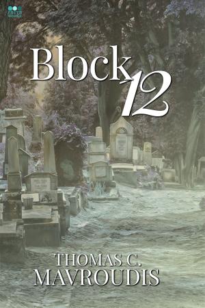 Cover of the book Block 12 by Michael Leonberger