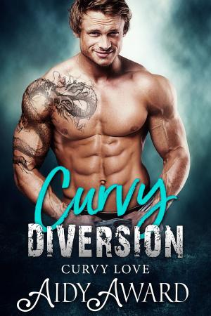 Book cover of Curvy Diversion