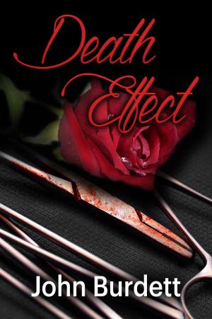 Cover of the book Death Effect by Eric J. Garner