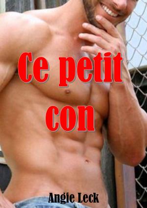 Cover of Ce petit con