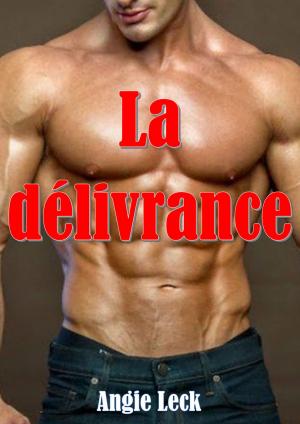 Cover of the book La délivrance by J.A. Jaken