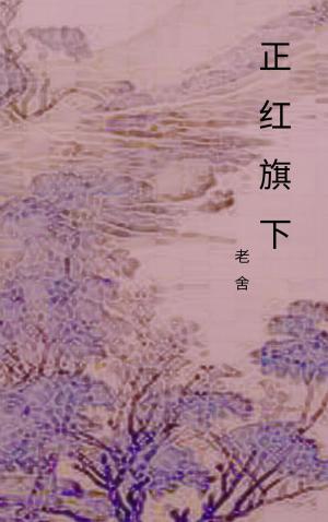 Cover of the book 正红旗下 by Lu Xun