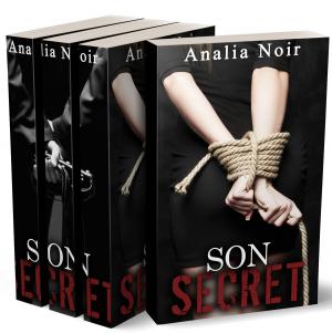 Book cover of Son Secret: L'Intégrale