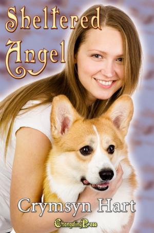 Cover of the book Sheltered Angel by J. Hali Steele