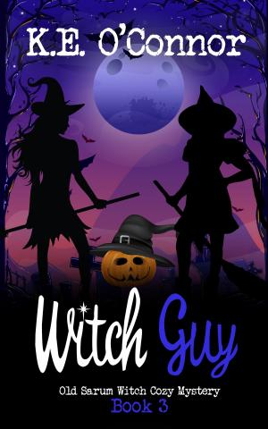 Cover of the book Witch Guy by K.E. O'Connor