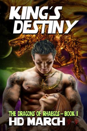 Cover of the book King's Destiny by Ray Anthony