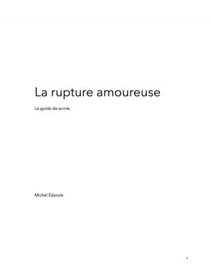 Cover of La rupture amoureuse - le guide de survie