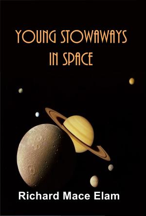 Cover of the book Young Stowaways in Space by William N. Harben