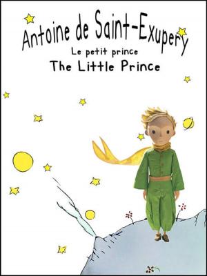 Cover of the book Le petit prince by Anne B. Walsh