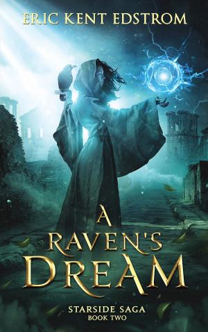 Cover of the book A Raven's Dream by Andi O'Connor