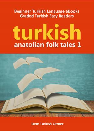 Book cover of Anatolian Folk Tales 1