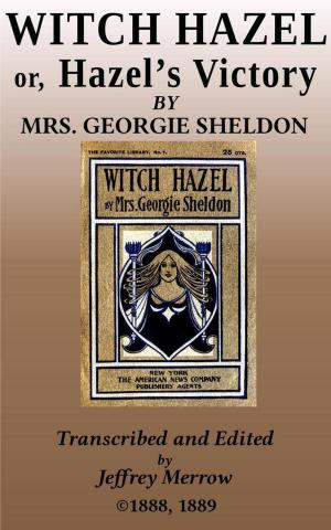 Cover of the book Witch Hazel by John Habberton, Sarah Bridges Stebbins