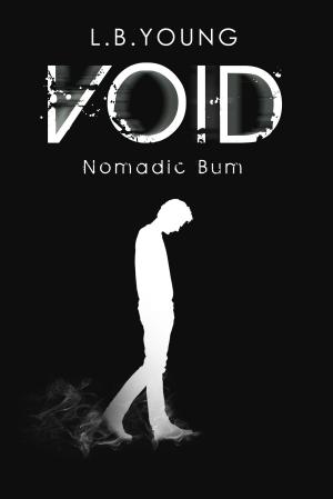 Cover of the book Void by R.G. Taark