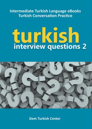 Book cover of Turkish Interview Questions 2