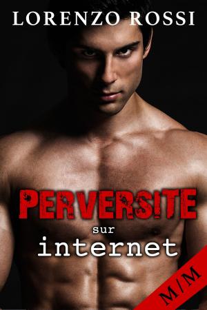 Cover of the book Perversité sur Internet by Olivia Hampshire