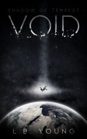 Cover of the book Void by J. Channing