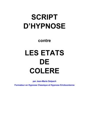 Cover of the book Contre les états de colère by Zia Wesley