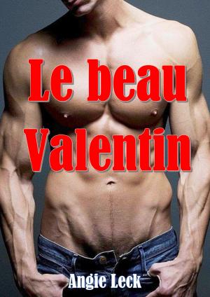 Cover of the book Le beau Valentin by Angie Leck
