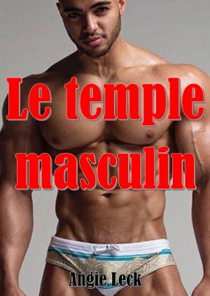 Cover of the book Le temple masculin by Agathe Legrand