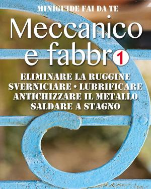 Cover of the book Meccanico e fabbro - 1 by François Roebben, Nicolas Vidal, Nicolas Sallavuard, Bruno Guillou