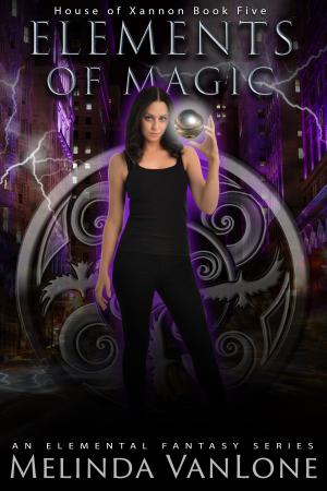 Cover of the book Elements of Magic by Nikki Whitsett
