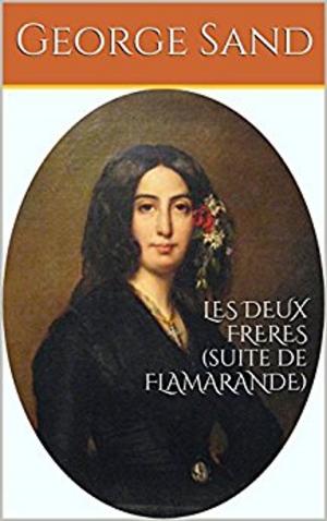 Cover of the book LES DEUX FRERES (suite de FLAMARANDE) by Michel Corday