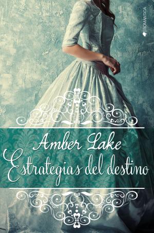 Cover of the book Estrategias del destino by Mabel Díaz