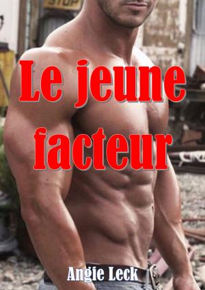 Cover of the book Le jeune facteur by Angie Leck