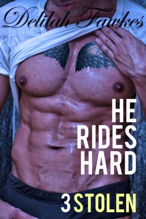 Cover of the book He Rides Hard, Part 3: Stolen by Catherine Snodgrass
