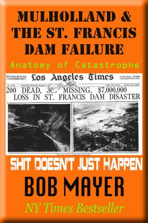 Cover of the book Mulholland and The St. Francis Dam by Bob Mayer and Jen Talty