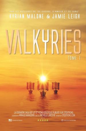 Cover of the book Valkyries by Kyrian Malone, Jamie Leigh