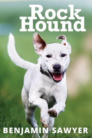 Cover of the book Rock Hound by Heather Brunton