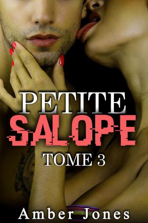 Book cover of Petite SALOPE Tome 3