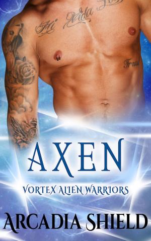 Cover of the book Axen by L.R. Lee